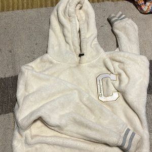Champion cropped hoodie